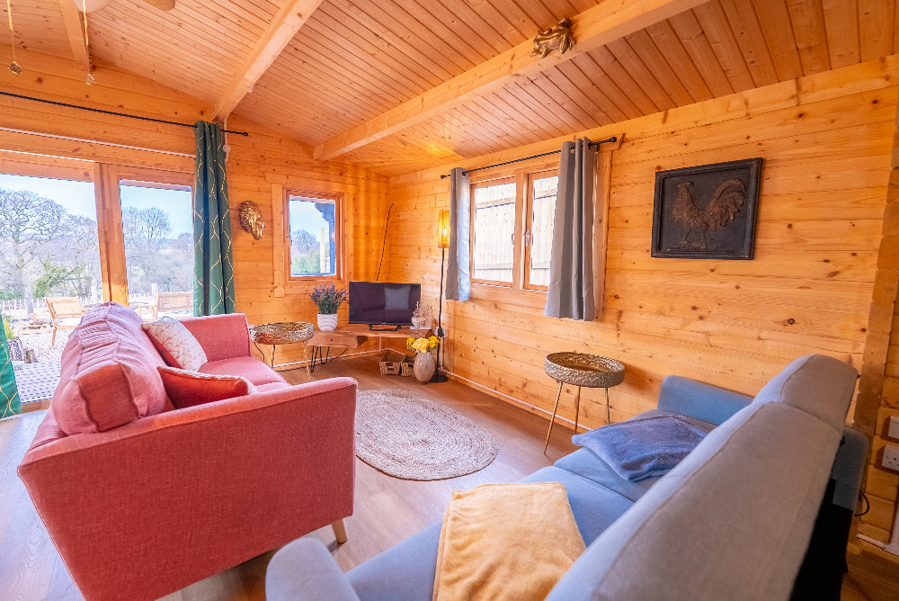 Comfortable living room pine forest view